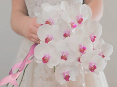 Cascading white orchids tied with a pink ribbon