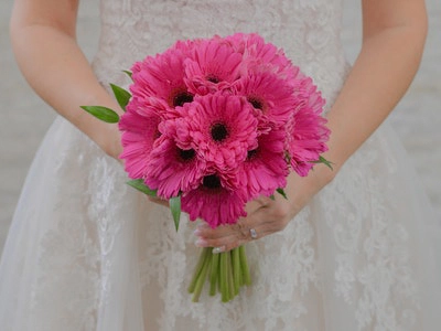 Bride holds a vibrant hot pink gerbera daisy bouquet