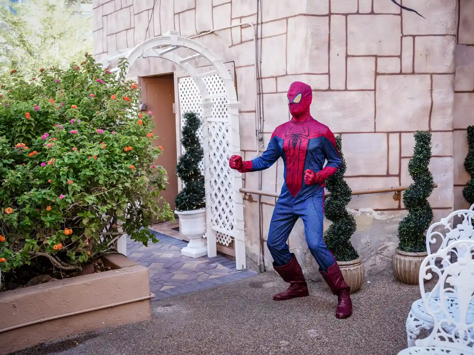 A Spider-Man cosplayer in a full hero suit performing a combat-ready action pose outside a stone building near a white garden trellis and topiary trees.